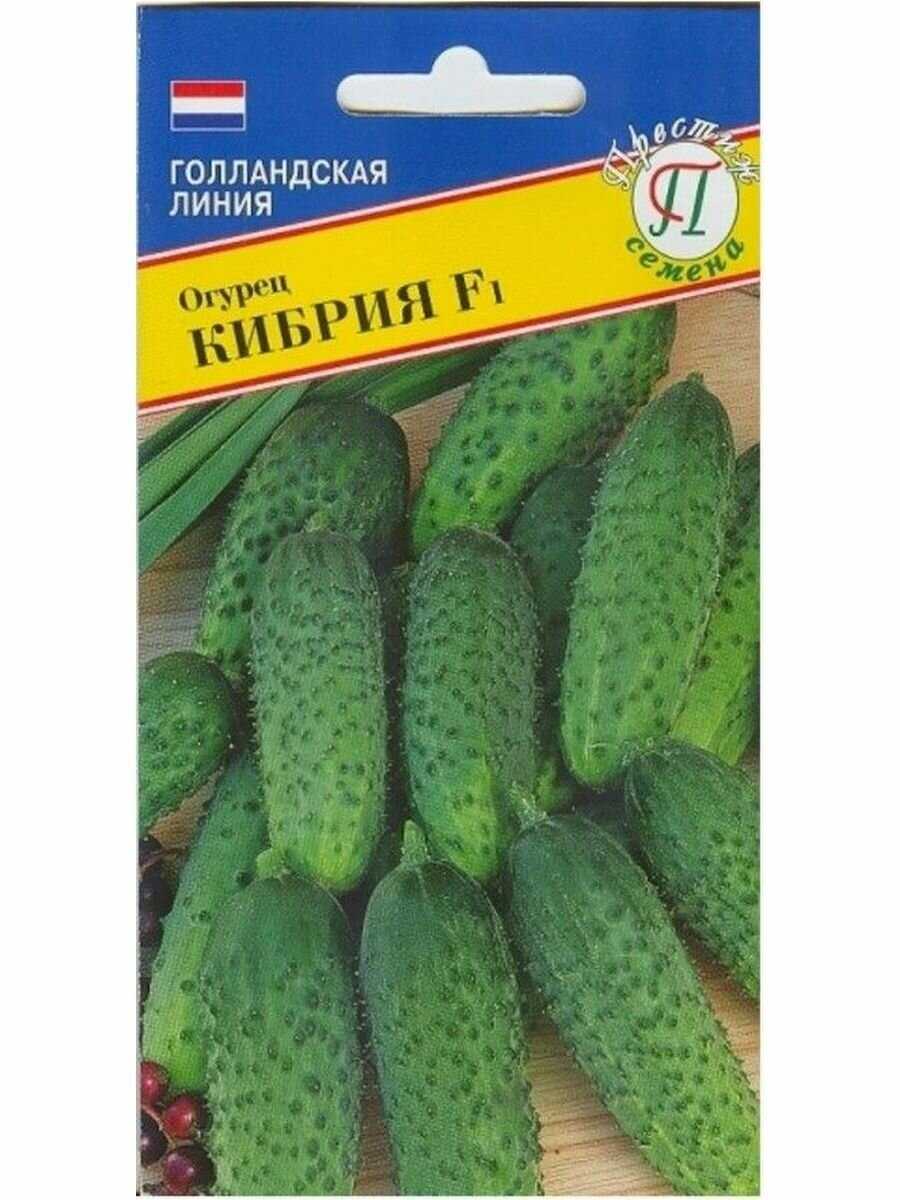 Голландские сорта огурцов: 30 лучших с описаниями и характеристиками + фото