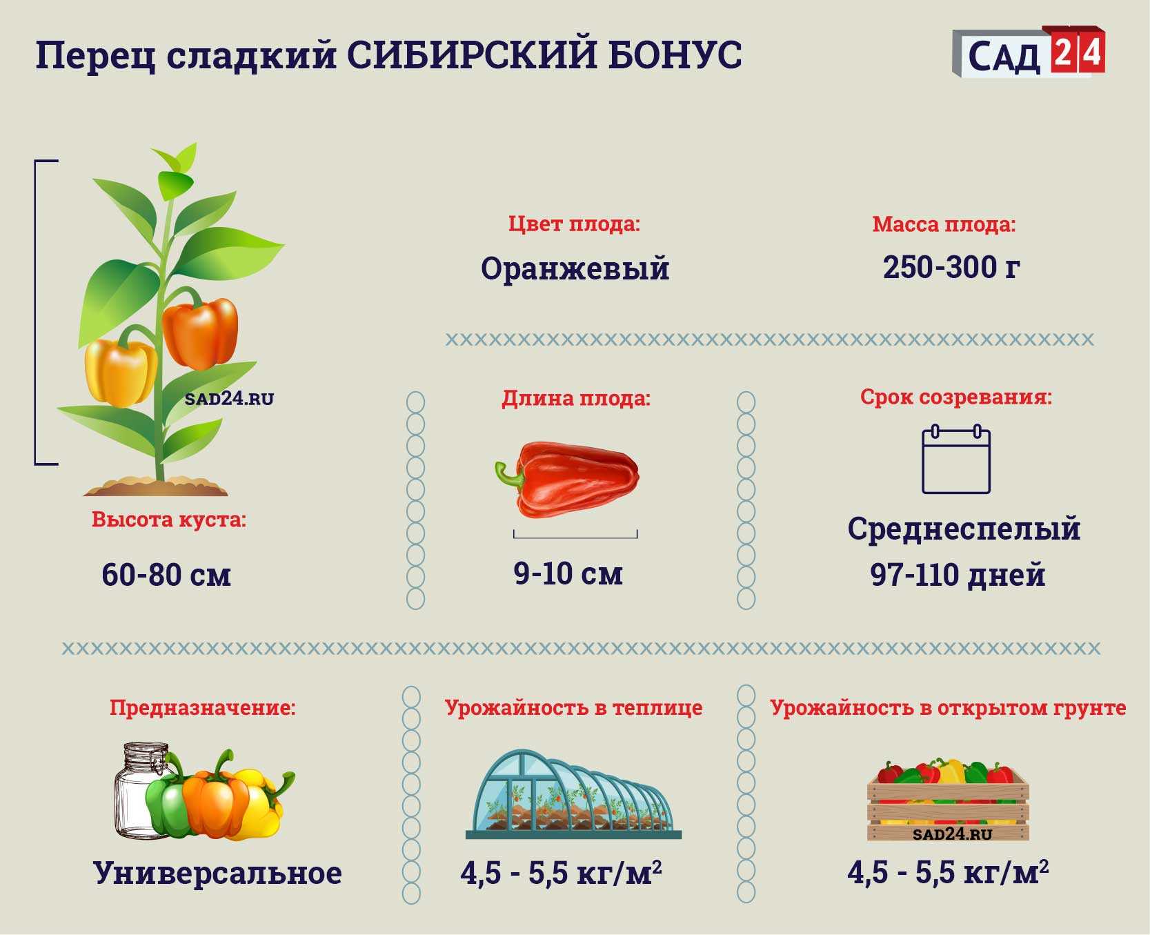 Перец сибирский бонус: чем хорош, отзывы фермеров с опытом, фото плодов и грядок, агротехника