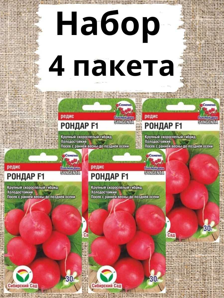 Голландские сорта редиса с описанием для теплиц и открытого грунта