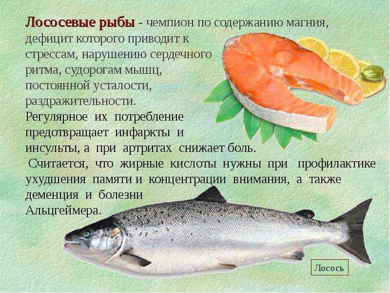 Горбуша - полезные свойства и рецепты приготовления вкусной рыбы