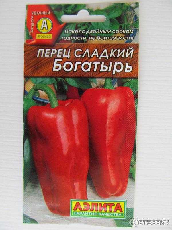 Перец сладкий богатырь - описание,отзывы,фото