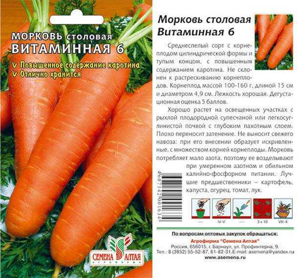 Морковь витаминная 6
