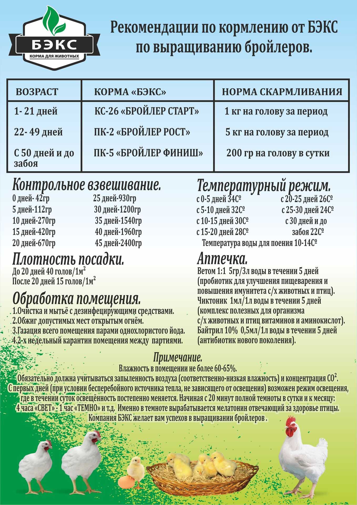 Выращивание бройлеров в домашних условиях: особенности содержания, ухода и кормления цыплят разного возраста