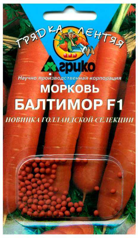 Лучшие сорта моркови на 2024 год: самые урожайные, вкусные, сочные, сладкие