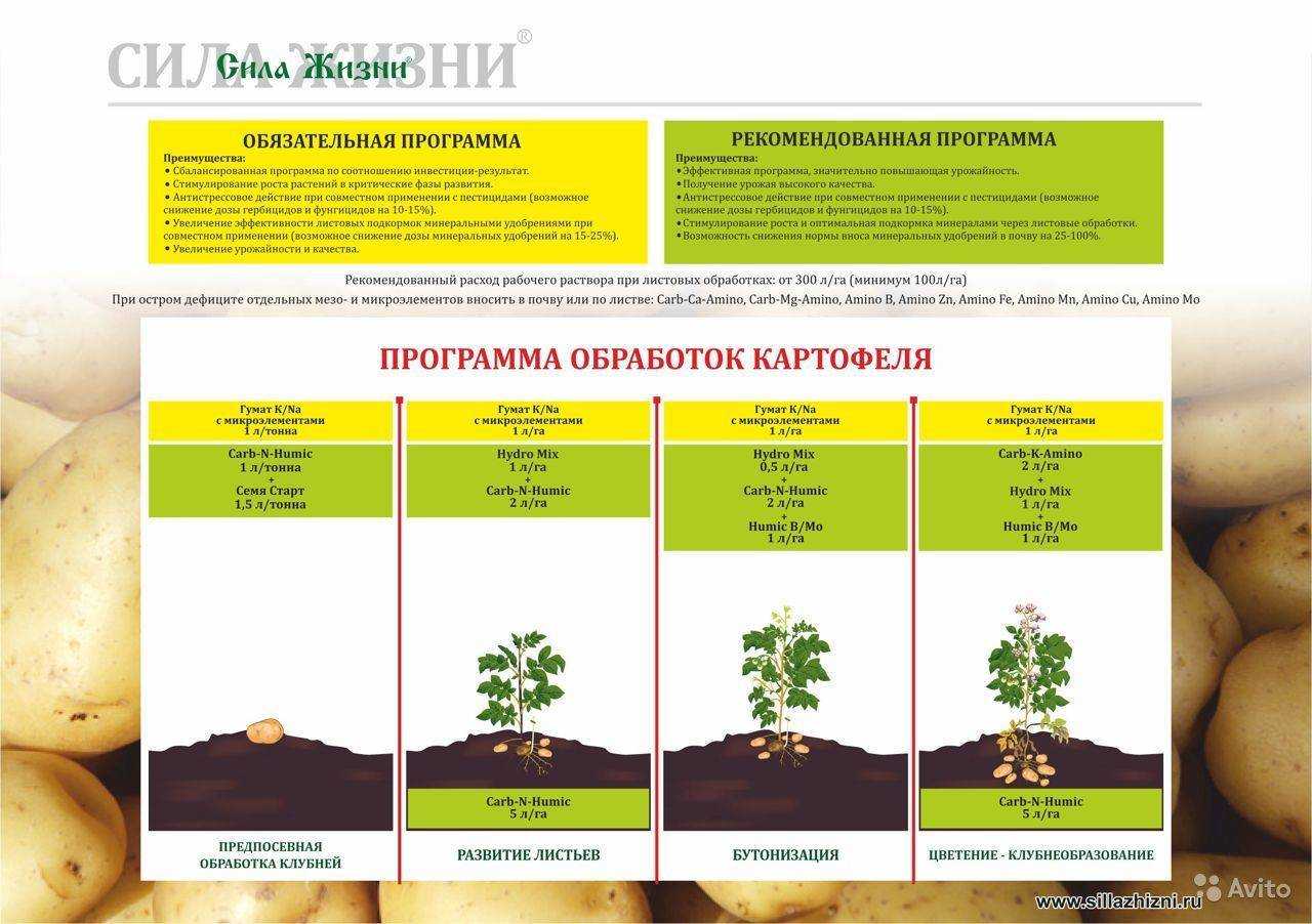 Подкормка картофеля до цветения