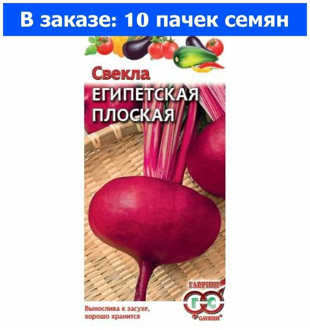 Египетская плоская свёкла: описание, характеристика и выращивание