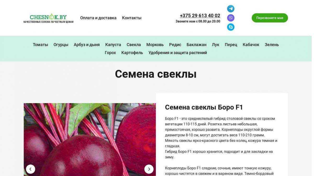 Лучшие сорта свеклы