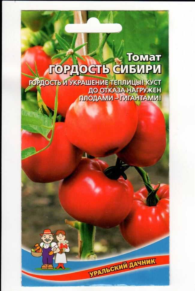Томат гордость сибири: описание сорта, отзывы (15), фото | tomatland.ru