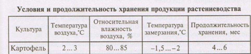 Можно ли есть проросший картофель? эксперты объяснили, что происходит с корнеплодом