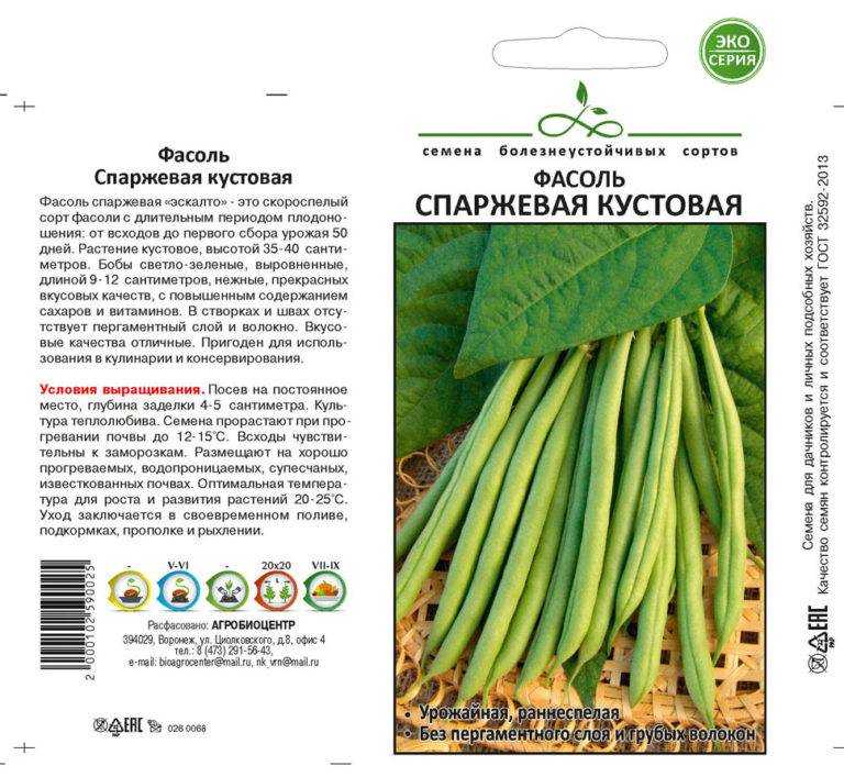 Спаржевая фасоль — разнообразие сортов и особенности выращивания. описание, фото — ботаничка
