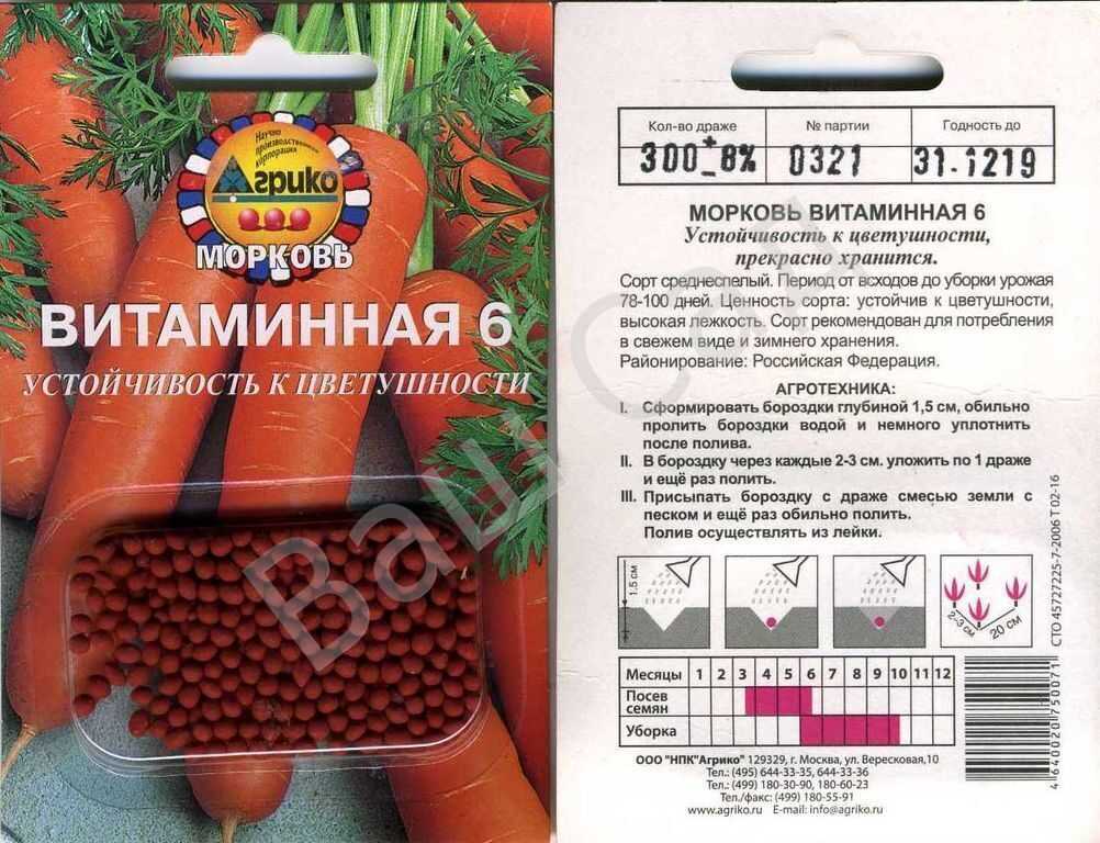 Морковь витаминная 6: выращивание на даче, описание сорта + фото