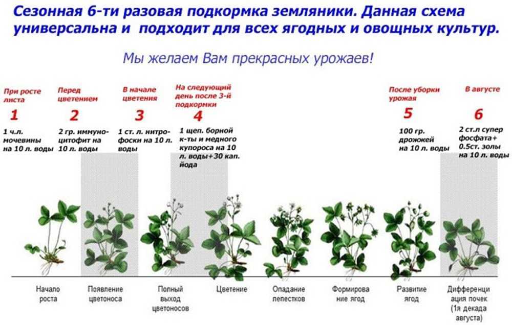 Штамповка деталей из листового металла: способы, нормы