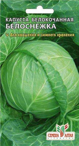 Капуста сорта белоснежка: описание и характеристика, особенности выращивания и ухода за капустой, фото, отзывы