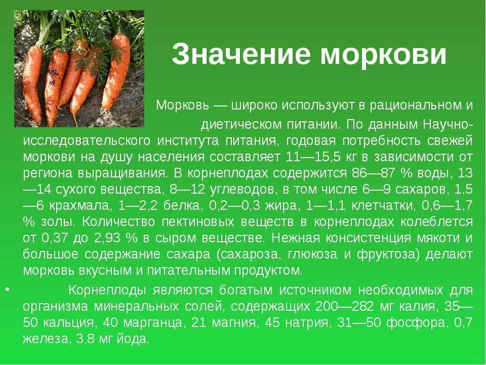 Лучшие сорта моркови для подмосковья: характеристики, фото и выращивание
