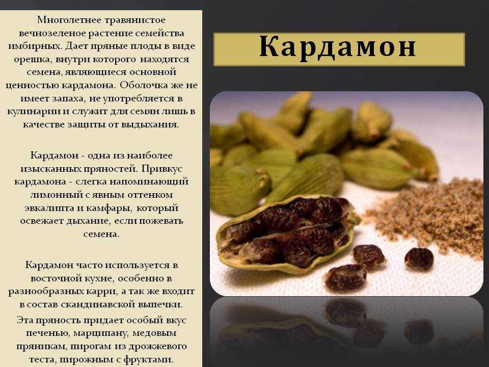 Растение кардамон – фото и описание, где и как растет, для чего применяется, химический состав