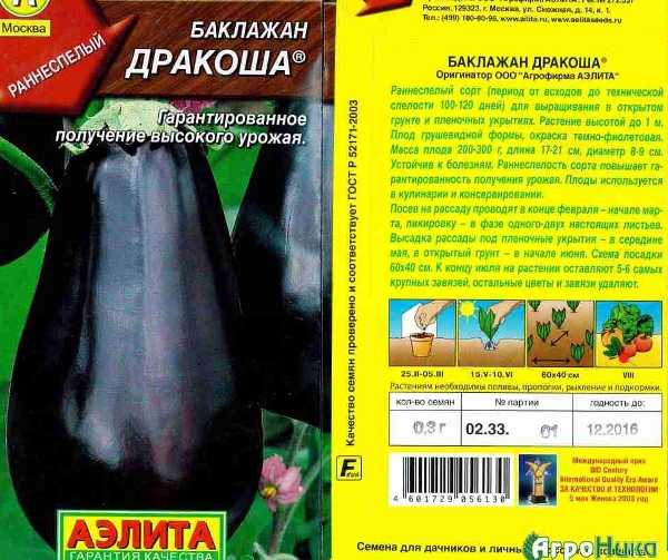 Баклажан бегемот: описание и характеристика сорта, агротехника выращивания и ухода – календарь садовода