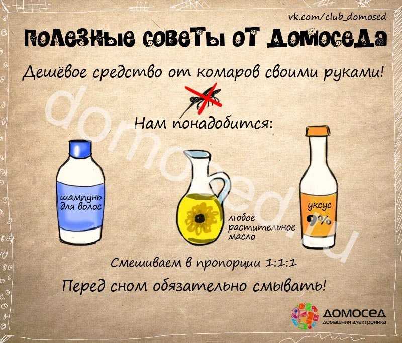 Как избавиться от насекомых в доме: чем потравить комаров и мух
