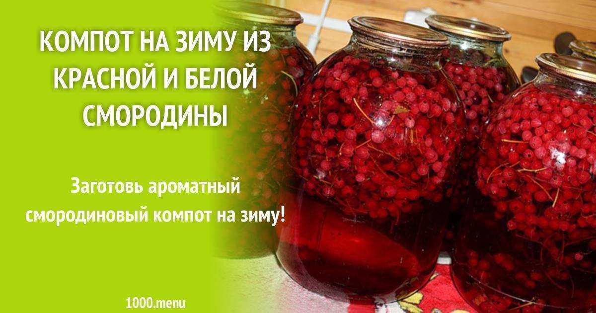 Компот из красной смородины на зиму — 6 простых рецептов на 3-х литровую банку