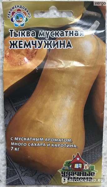 Лучшие мускатные сорта тыквы для россии и ее регионов