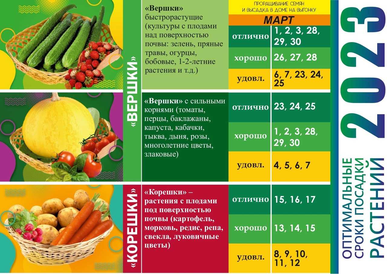 Лунный календарь садовода и огородника на февраль 2024 года: благоприятные дни