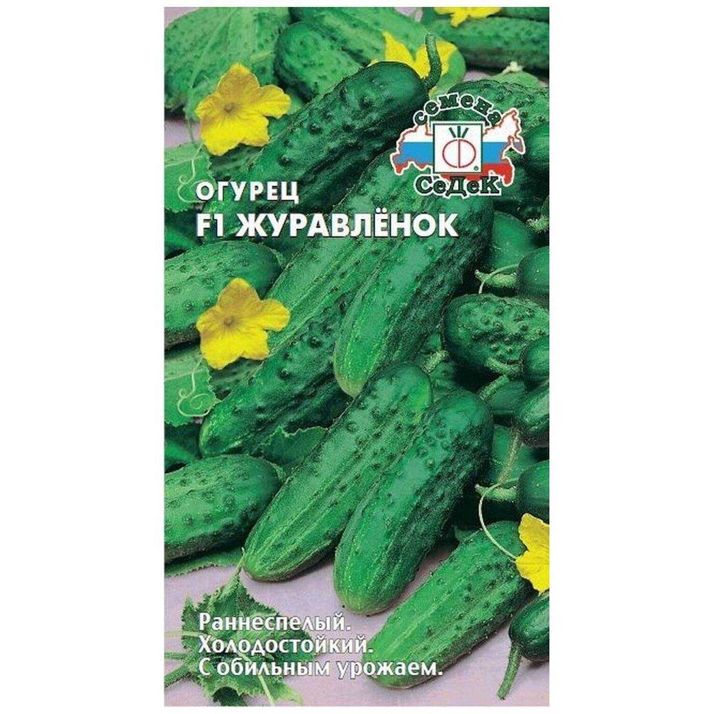Огурец журавленок f1: отзывы, описание сорта, фото