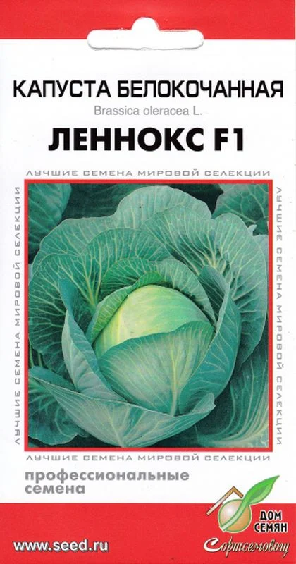 Капуста белоснежка: описание, плюсы и минусы, посадка и уход, урожайность, отзывы
