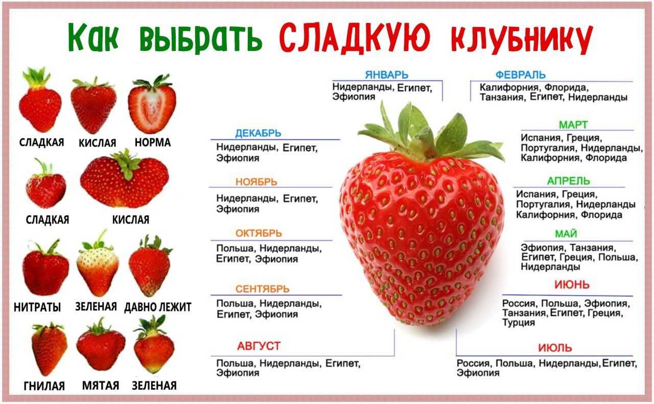 Пирог с вишней на кефире улиткой. пирог улитка с вишней. | школа красоты