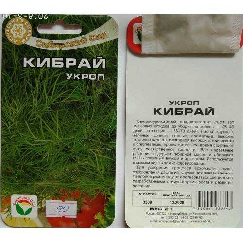 Укроп кибрай: описание сорта, выращивание, уход и урожайность с фото