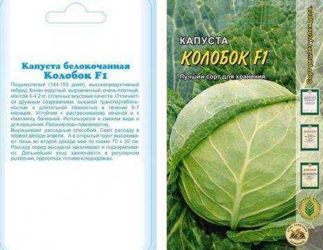 Можно ли солить капусту сорта колобок - у дачки