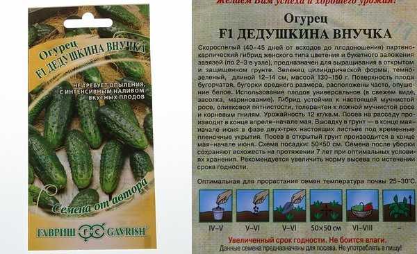 9 незаменимых гибридов огурцов, которые я советую выращивать всем. описание. фото — ботаничка