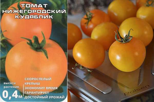 Томат монгольский карлик: описание сорта, фото, отзывы садоводов и характеристика