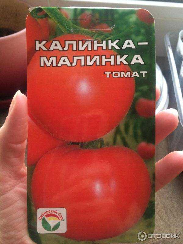 Томат калинка-малинка: описание сорта, урожайность с фото и отзывами