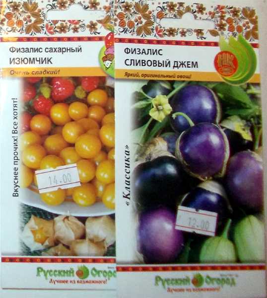 Физалис ягодный: сладкий плод, выращенный своими руками