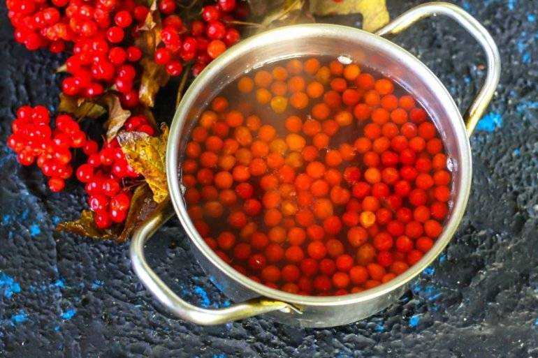 Красочные ягоды калины идеальный ингредиент для вкусного компота Многие не любят их из за терпкого привкуса но от него можно избавиться буквально за 1 час зная