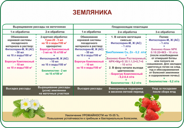 Уход за малиной |