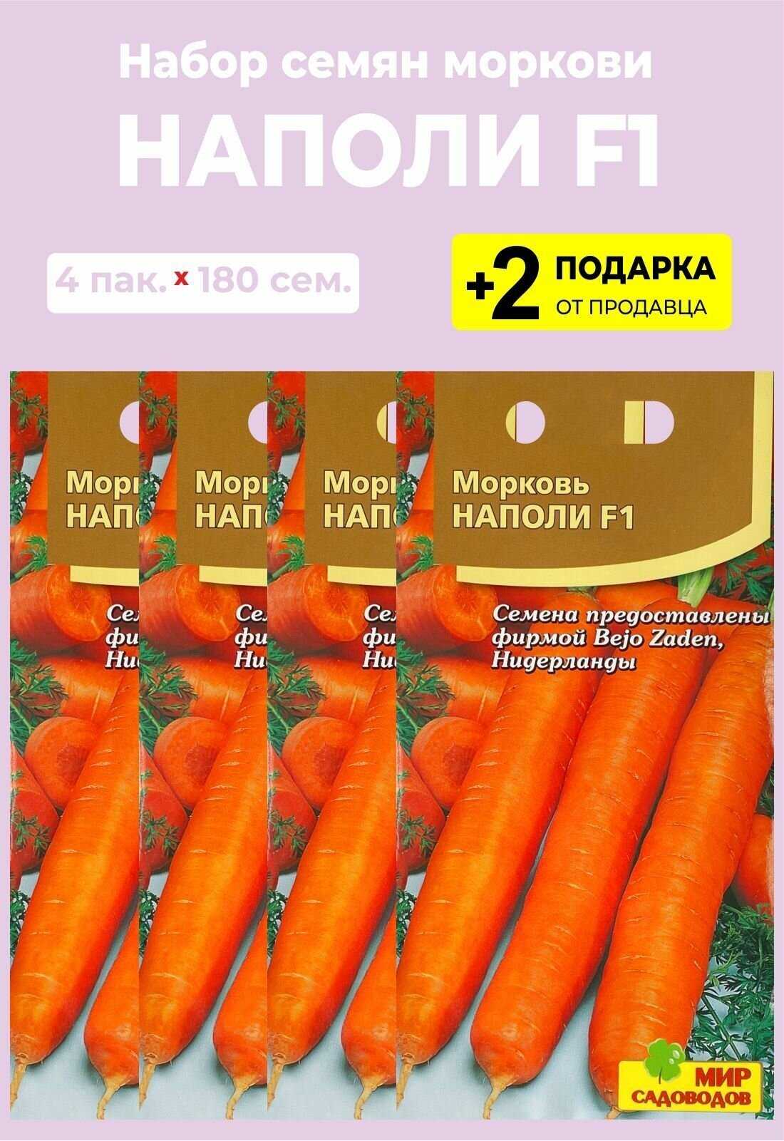 Морковь нантская: характеристика и описание гибридного сорта с фото