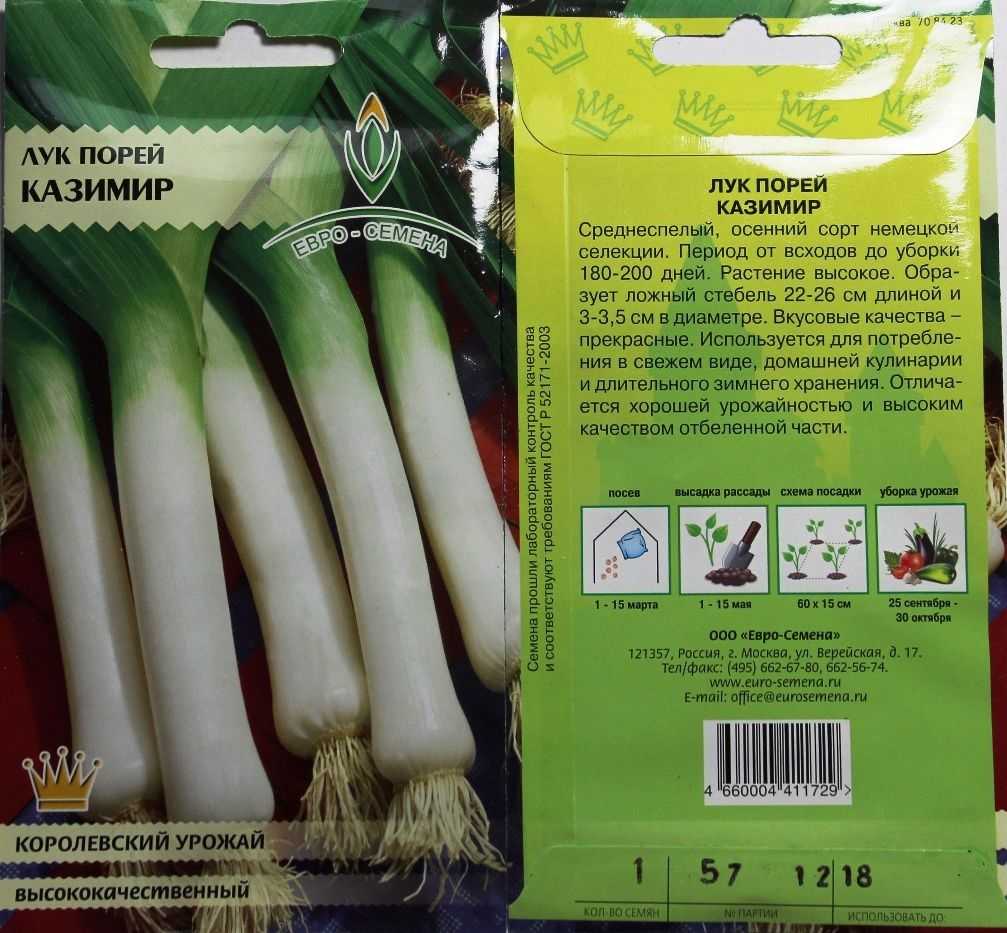 Лук-порей карантанский: выращивание из семян