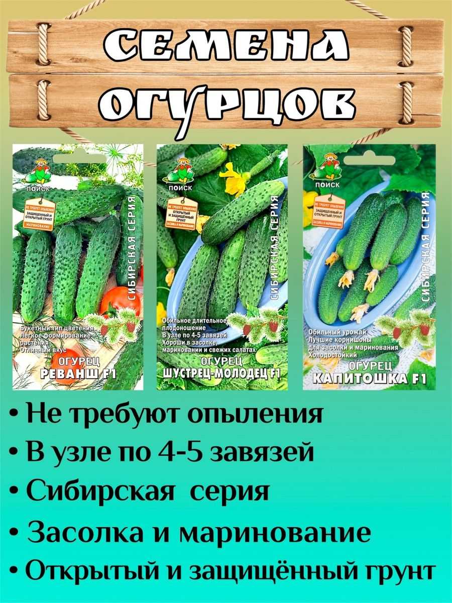 Томат марьюшка: характеристика и описание среднеспелого сорта с фото