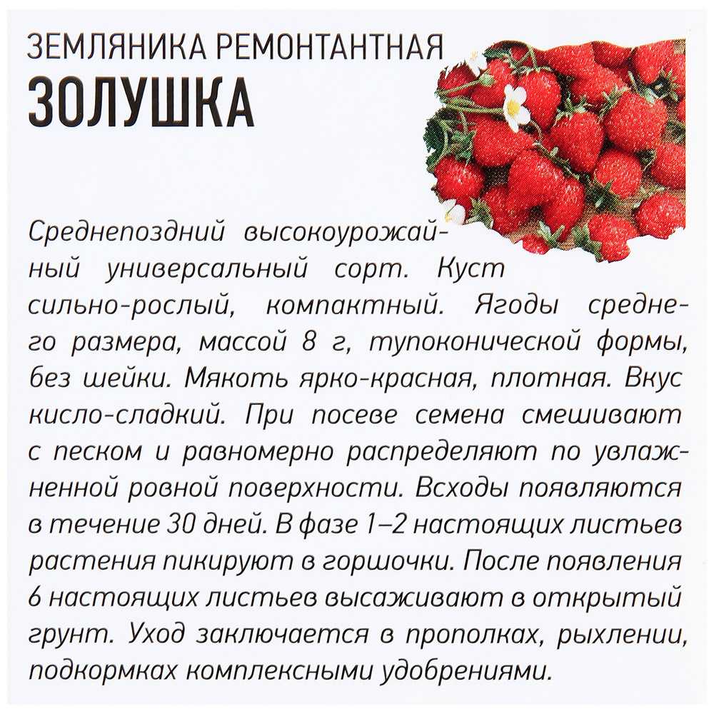О землянике Золушка описание сорта фото отзывы характеристика урожайность достоинства и недостатки рекомендации по посадке и уходу