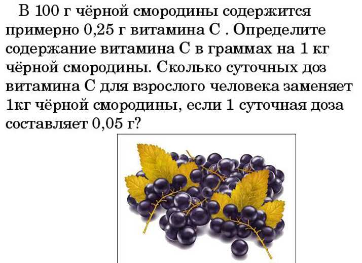 Черная смородина. сохранить витамины — https://venerachuraeva.ru
