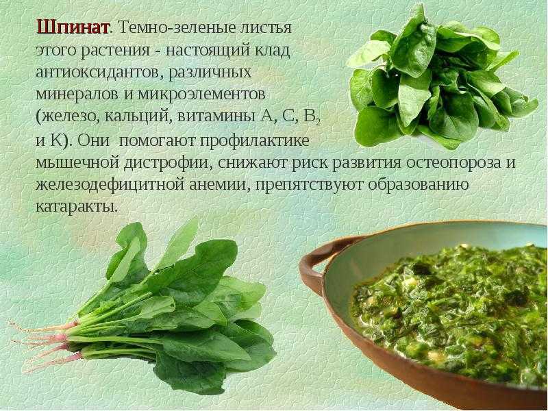 Важнейшие абиотические факторы и адаптации к ним организмов