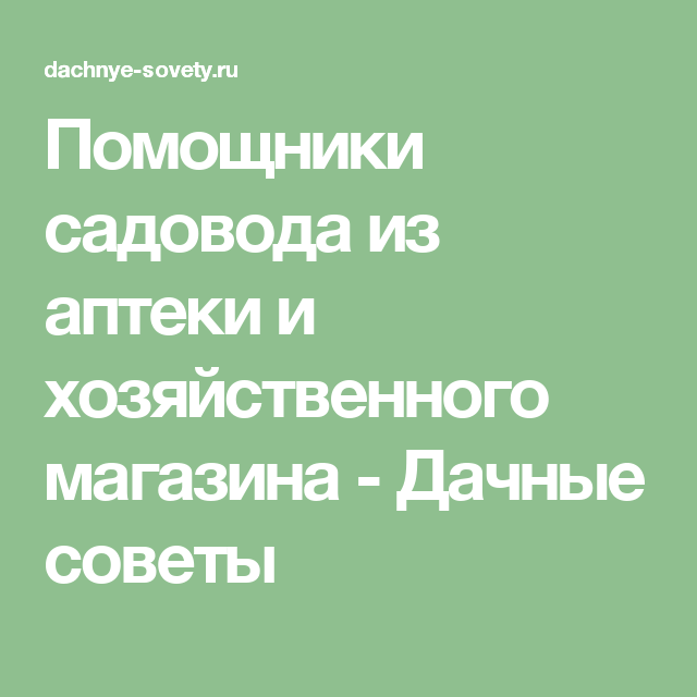 В этом материале расскажем о способах применения популярных аптечных препаратов для лечения и защиты растений от болезней и вредителей