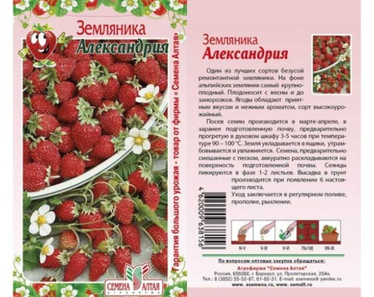 Ремонтантная малина карамелька: описание сорта, фото, отзывы садоводов