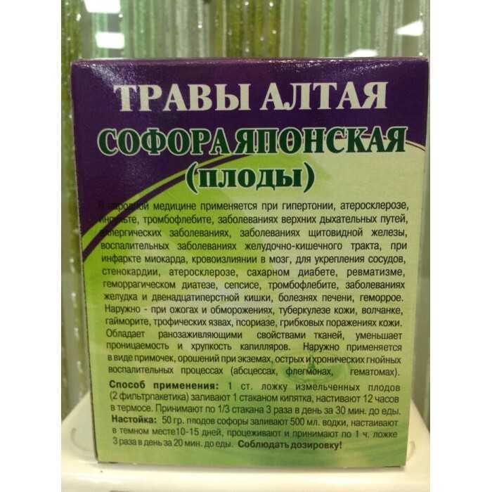 Софора японская –  применение в народной медицине и противопоказания