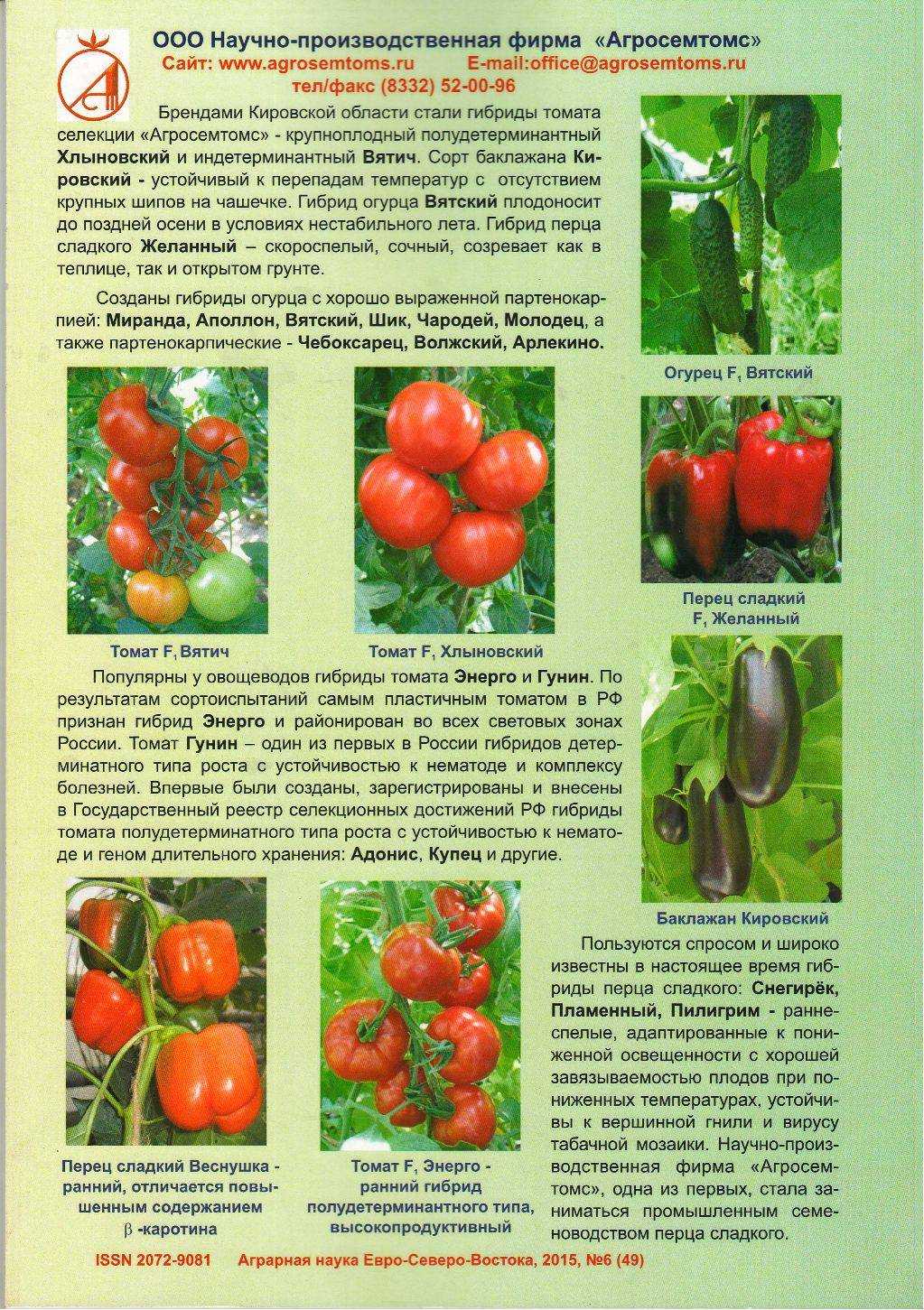 Томат сортовой розовый агат: характеристики, описание, плюсы и минусы
