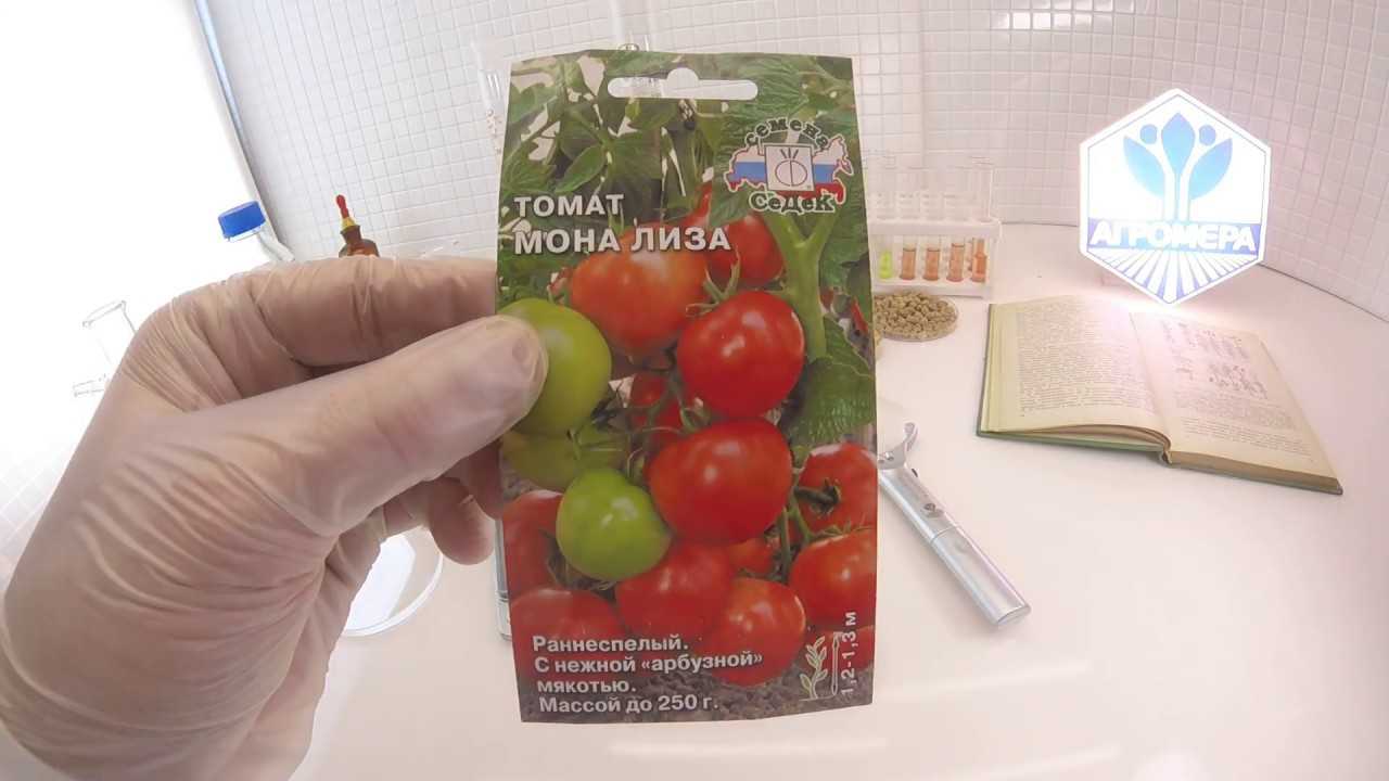 Томат мона лиза - описание и характеристика сорта