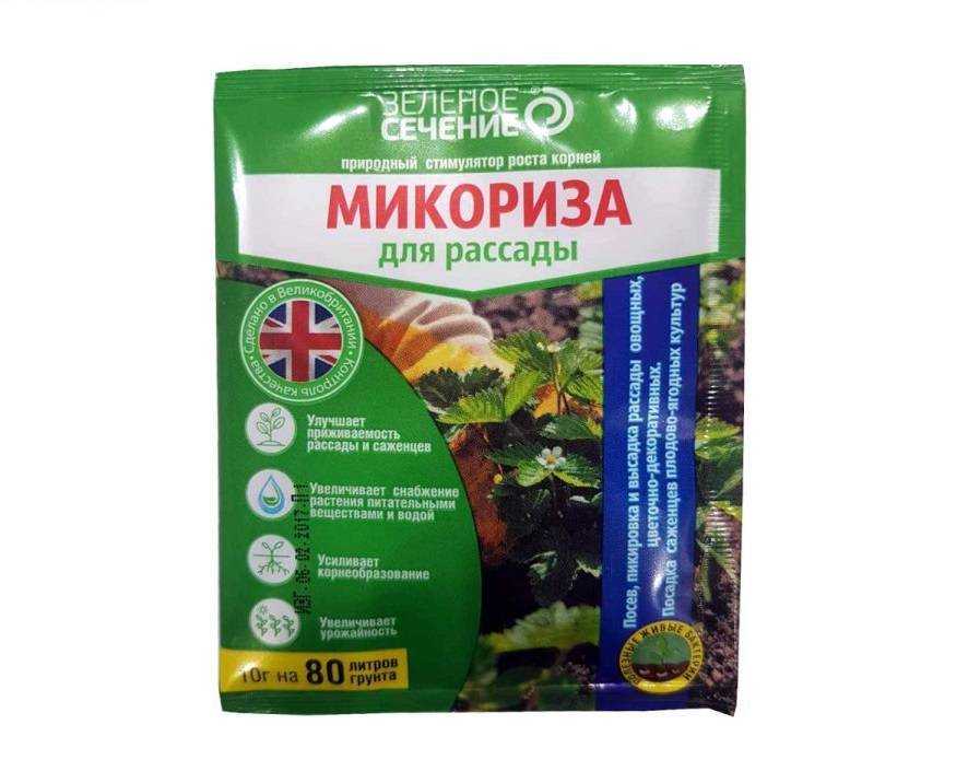 Как применяется микориза для орхидей?