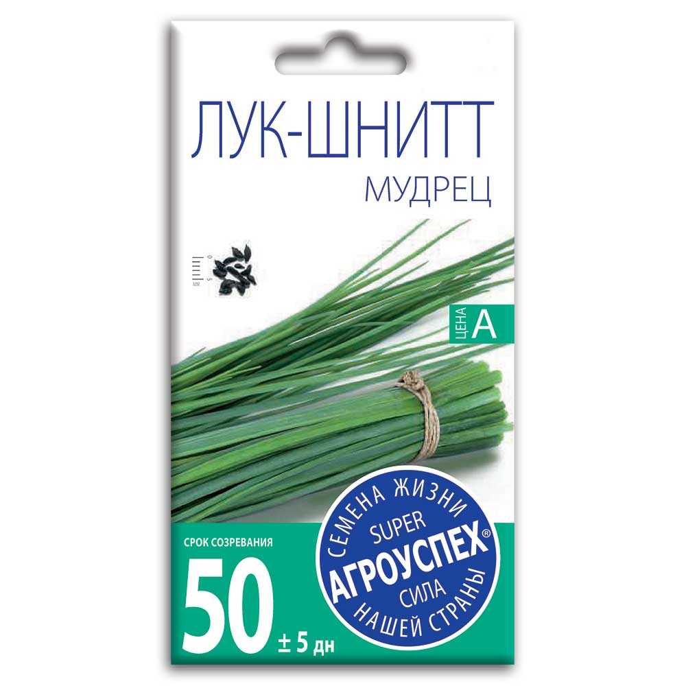 Лук-шнитт: выращивание и уход, фото разросшихся куртин в экосаду