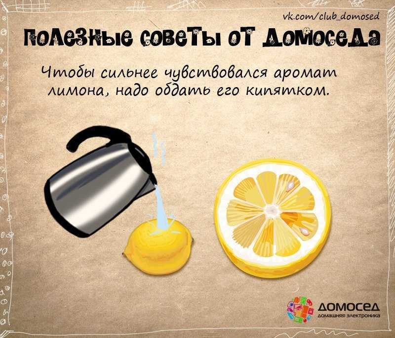 Выращивание экзотических растений из тропиков и субтропиков - omvesti.com