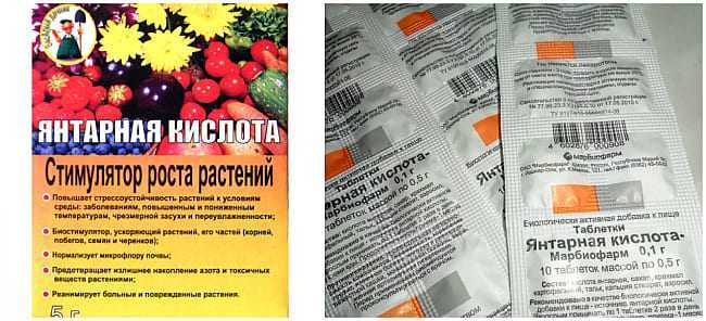 Янтарная кислота: применение для растений, отзывы